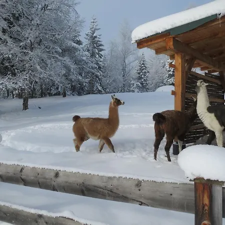 Charlotte Am Geigenbuehel -apartments