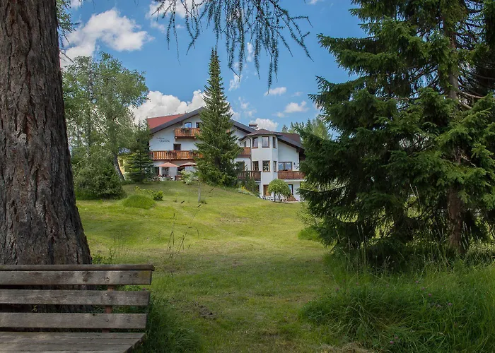 Charlotte Am Geigenbuehel -apartments 3* Зеефельд в Тироле