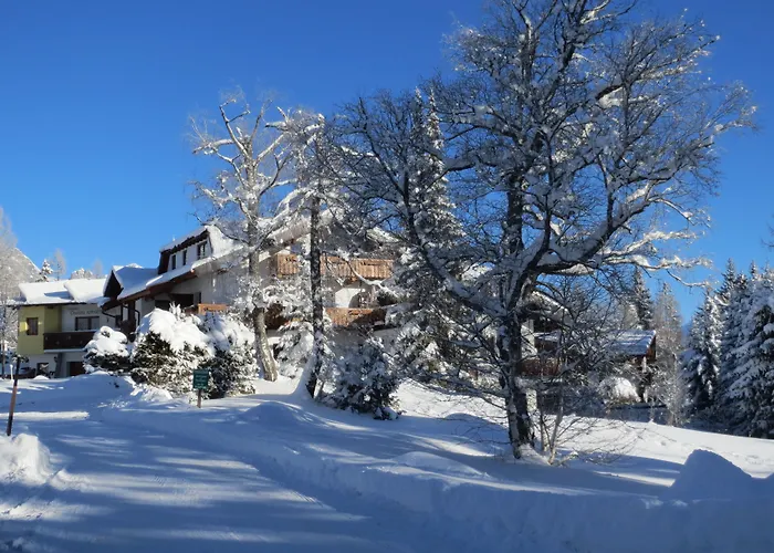Charlotte Am Geigenbuehel -apartments