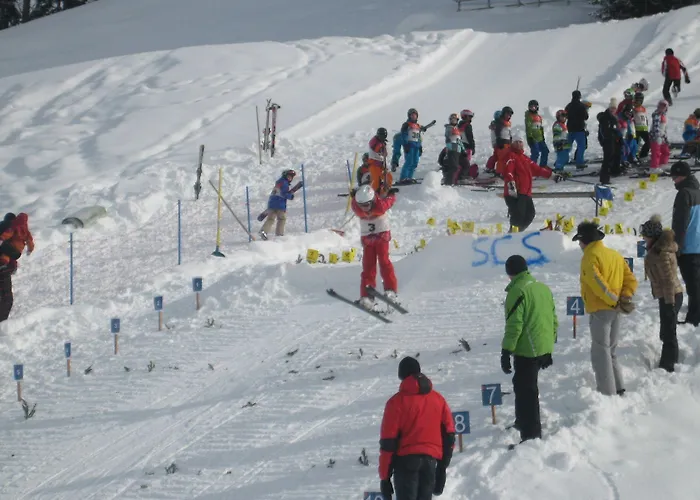 شقة فندقية Charlotte Am Geigenbuehel -apartments 3*