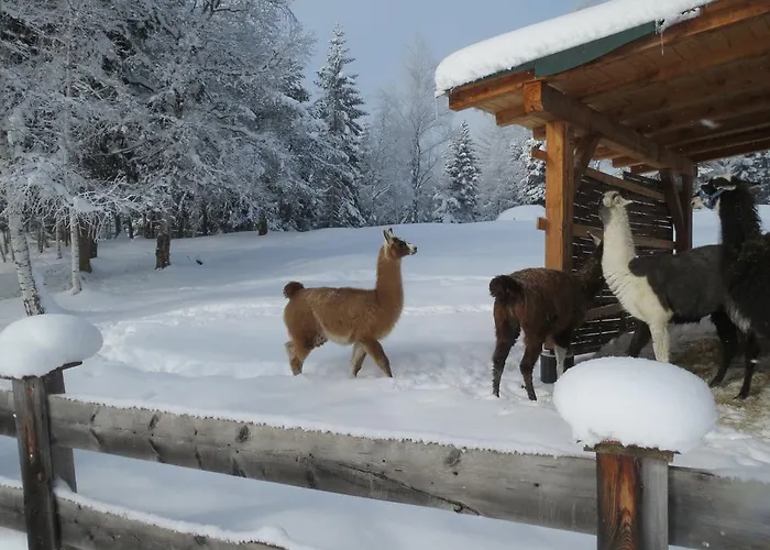 Charlotte Am Geigenbuehel -apartments